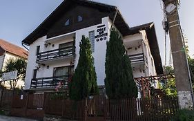 Pensiunea Colt de Munte